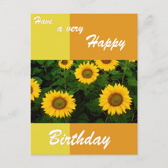 Sonnenblumen - Happy Birthday Postcard Postkarte (Vorderseite)