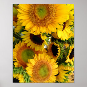 Sonnenblumen Happy Yellows Poster Wall Deco