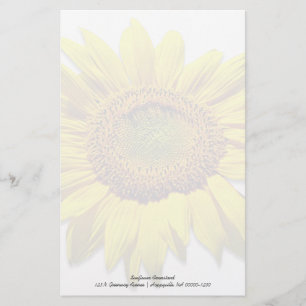 Sonnenblumen-Hintergrund Leere Benutzerdefinierte Briefpapier