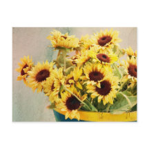 Sonnenblumen im Barrel - horizontal