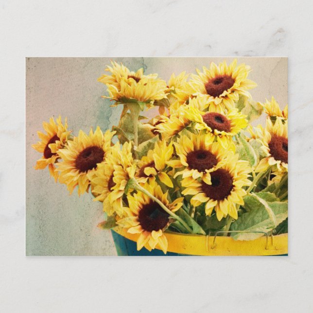 Sonnenblumen im Barrel - horizontal Postkarte (Vorderseite)