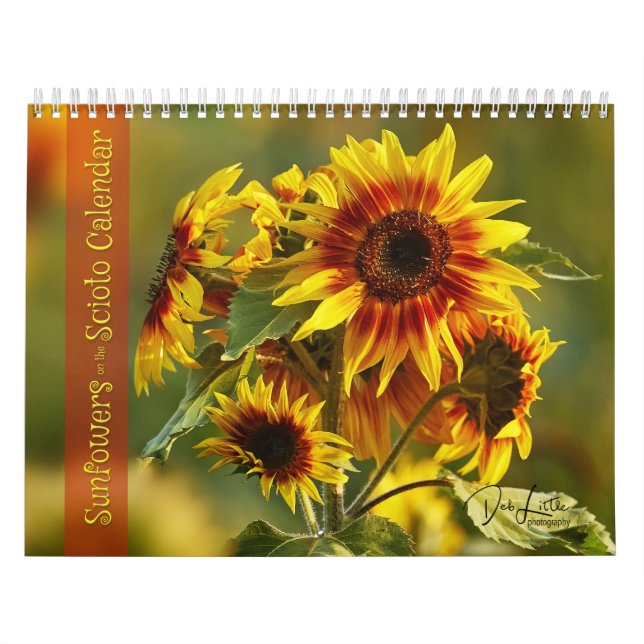 Sonnenblumen im Scioto-Kalender Kalender (Titelbild)