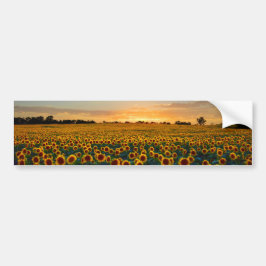 Sonnenblumen im Sonnenuntergang Autoaufkleber