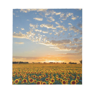 Sonnenblumen im Sonnenuntergang Notizblock