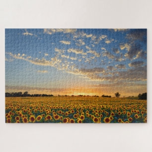 Sonnenblumen im Sunset Jigsaw Puzzle