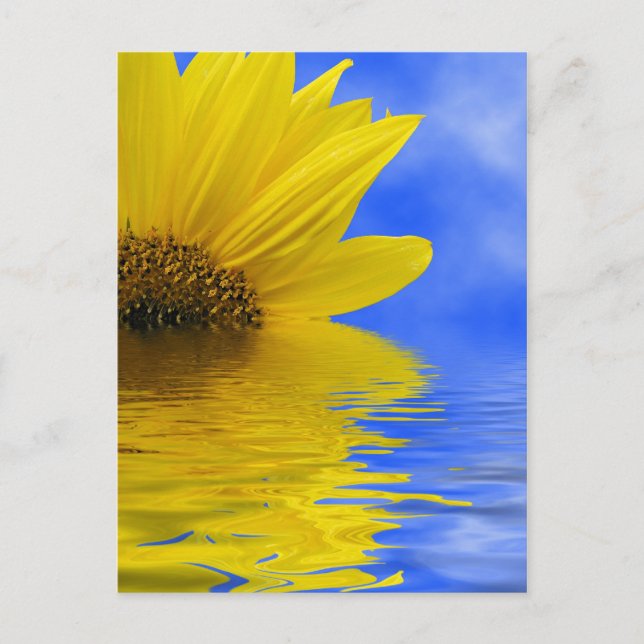 Sonnenblumen im Wasser Postkarte (Vorderseite)