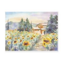 Sonnenblumen in der Provence