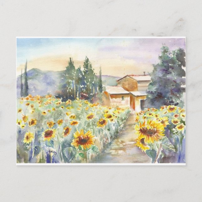 Sonnenblumen in der Provence Postkarte (Vorderseite)