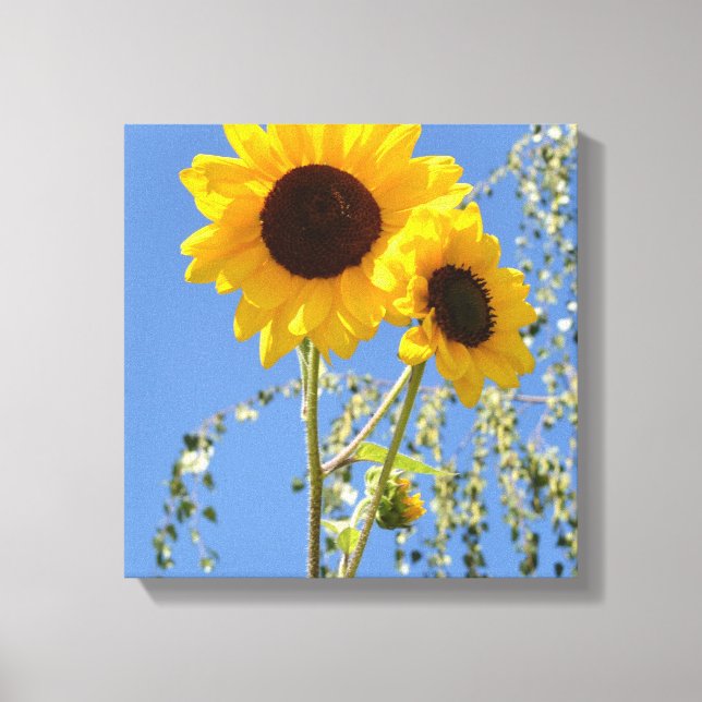 Sonnenblumen in der Sky Canvas Print Leinwanddruck (Vorderseite)