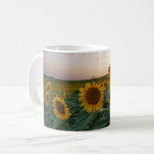 Sonnenblumen in der Tasse