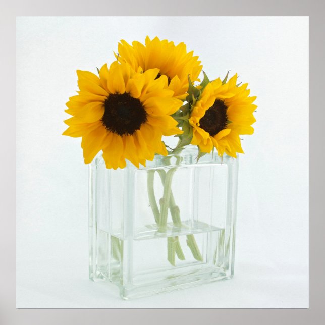 Sonnenblumen in einem Vase-Poster Poster (Vorne)