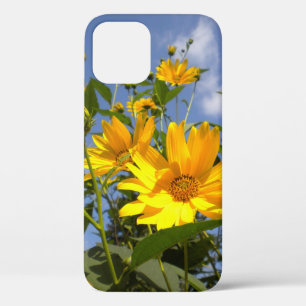 Sonnenblumen in Sky Case-Mate iPhone Hülle
