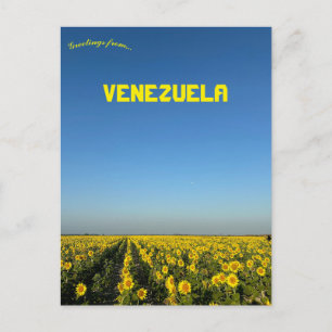 Sonnenblumen in Turen Portuguesa Venezuela Postkarte