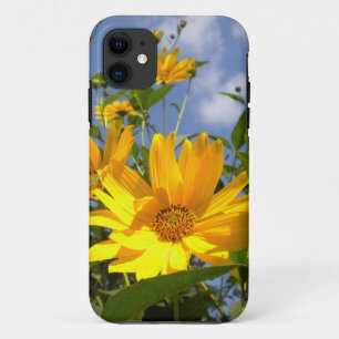 Sonnenblumen iPhone 5 Gehäuse 11 Hülle