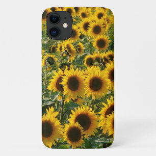 Sonnenblumen iPhone Case