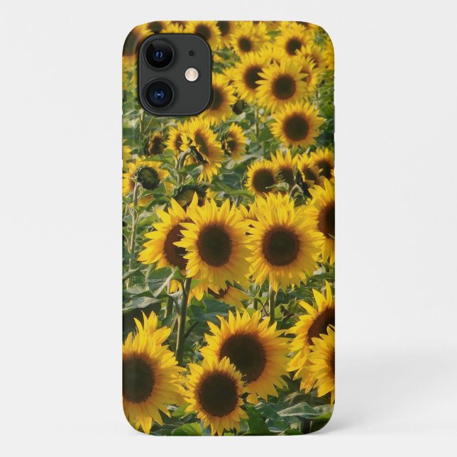 Sonnenblumen iPhone Case (Rückseite)