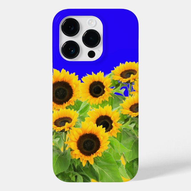 Sonnenblumen iPhone Case Ukraine Flaggenfarben (Rückseite)