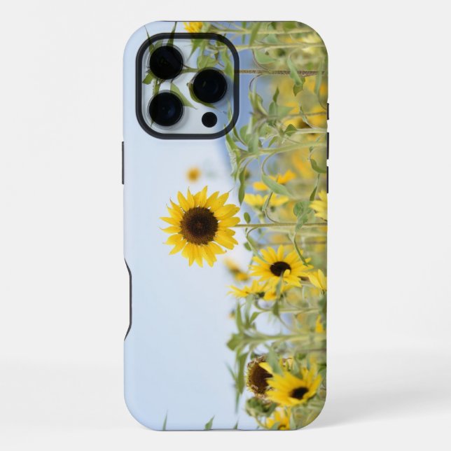 Sonnenblumen  iPhone hülle (Rückseite)
