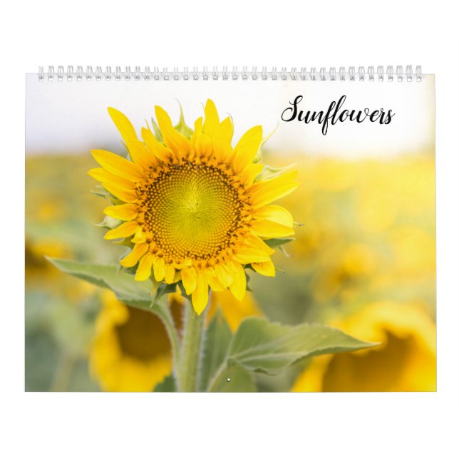 Sonnenblumen Kalender (Titelbild)