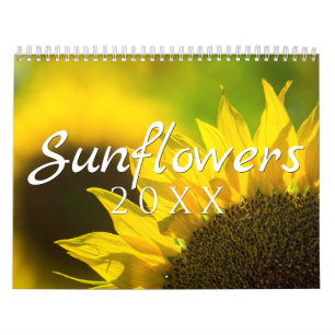 Sonnenblumen-Kalender - 12 Fotosammlung Kalender