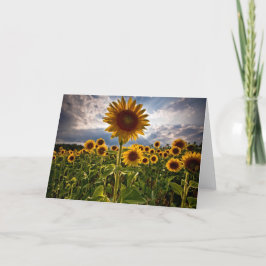 Sonnenblumen Karte