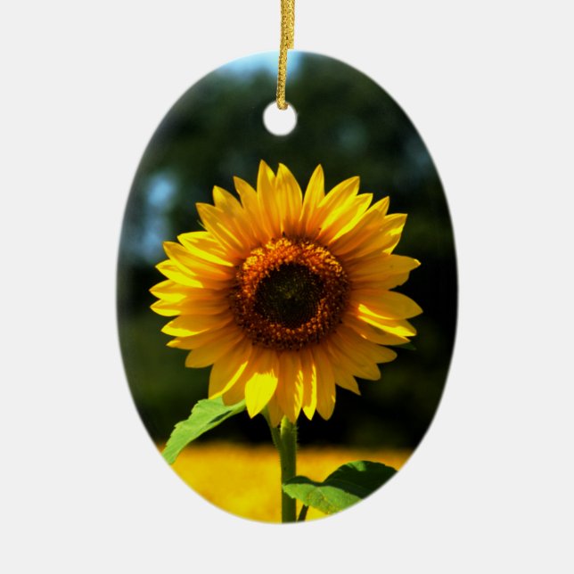 Sonnenblumen Keramik Ornament (Vorne)