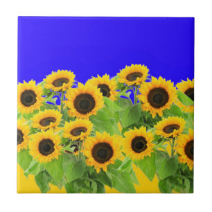 Sonnenblumen Keramik Tile Ukrainische Flaggenfarbe Fliese