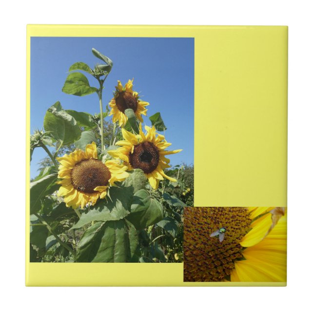 Sonnenblumen Keramikfliese (Vorderseite)