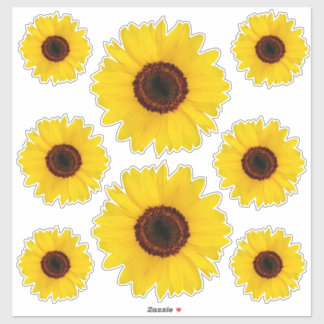 Sonnenblumen Kontursticker-Bonus Aufkleber
