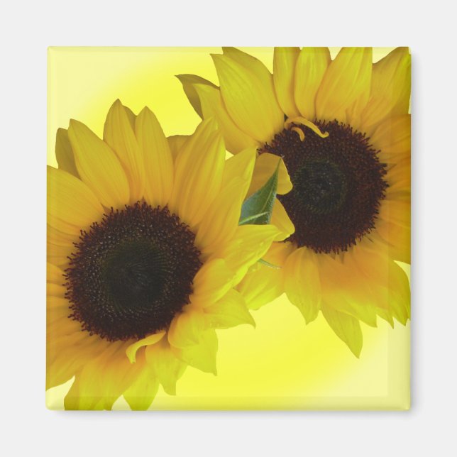 Sonnenblumen Kühlschrankmagnet Gefallen Blume Gesc Magnet (Vorne)