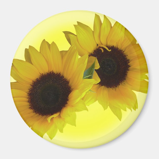 Sonnenblumen Kühlschrankmagnet Gefallen Blume Gesc Magnet (Vorne)