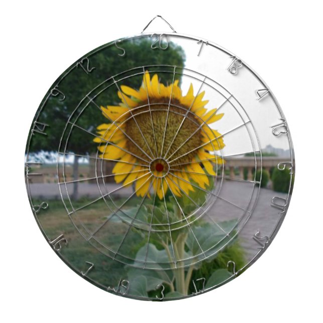 Sonnenblumen-Kunstposter Dartscheibe (vorne)
