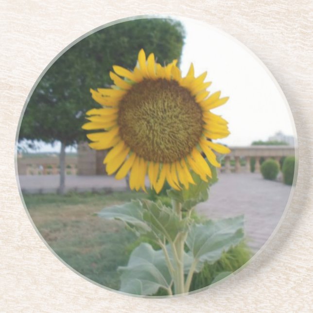 Sonnenblumen-Kunstposter Getränkeuntersetzer (Vorne)