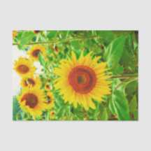 Sonnenblumen Land Gelb grüne Blütendekoupage