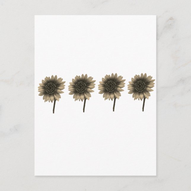 Sonnenblumen, leben, lachen, Liebe Postkarte (Vorderseite)