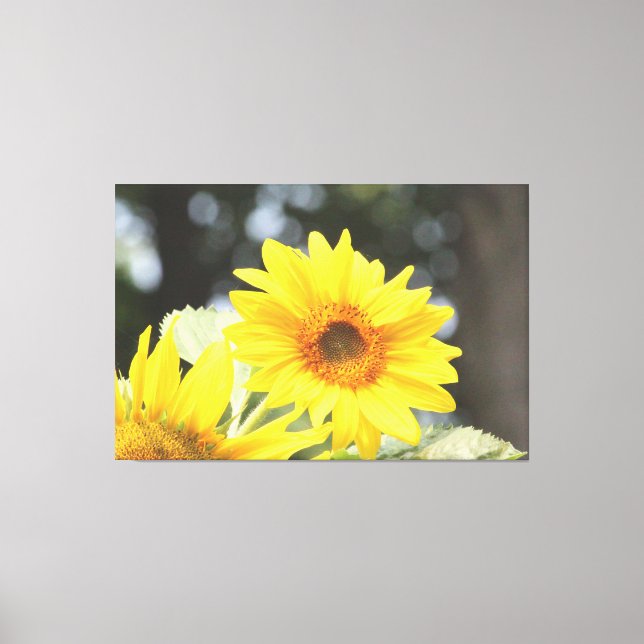 Sonnenblumen Leinwanddruck (Vorderseite)
