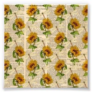 Sonnenblumen Libellen Alte Zeitung Landstil Fotodruck