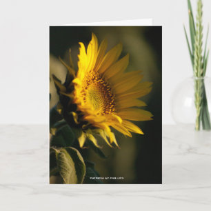 Sonnenblumen-Licht-PhotoTemplate 'In Gedanken an D Karte