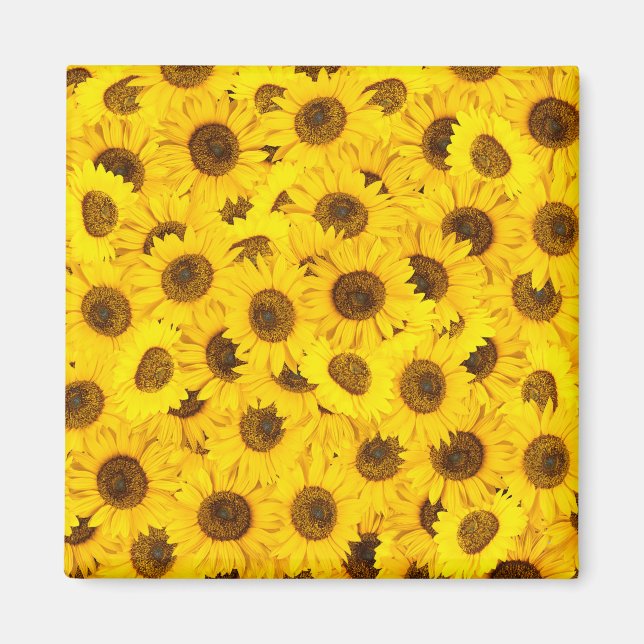 Sonnenblumen Magnet (Vorne)