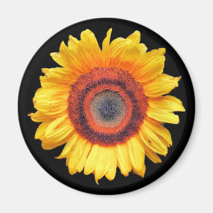 SONNENBLUMEN MAGNET