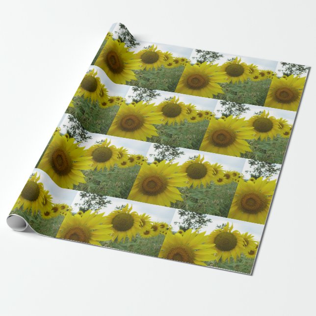 Sonnenblumen Matte Wrapping Paper Geschenkpapier (Ungerollt)