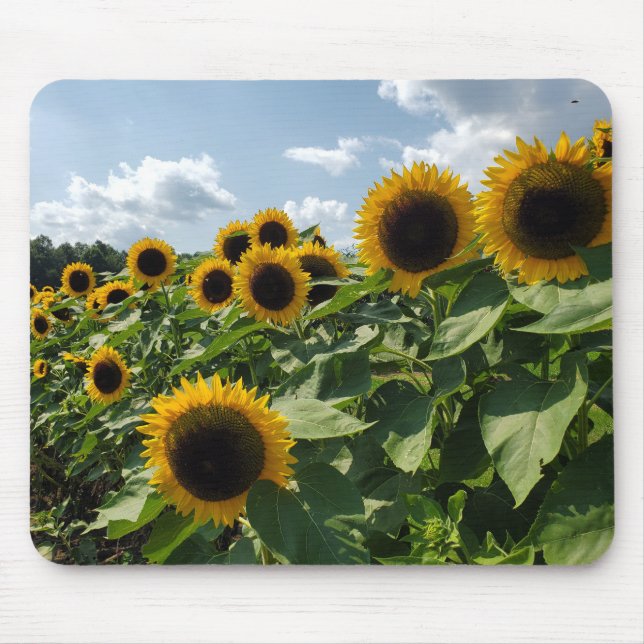 Sonnenblumen Mousepad (Vorne)