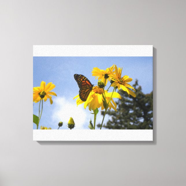 Sonnenblumen N Schmetterlinge gewickelt Leinwand D (Vorderseite)