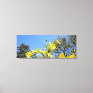 Sonnenblumen N Sky umhüllte Canvas Print Leinwanddruck