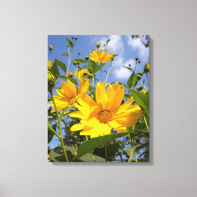 Sonnenblumen N Sky Wrapped Canvas Leinwanddruck (Vorderseite)