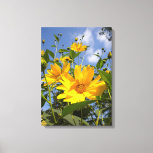 Sonnenblumen N Sky Wrapped Canvas Leinwanddruck