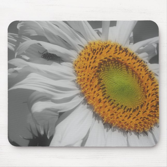 Sonnenblumen Nah Schwarz-weiße Mousepad (Vorne)