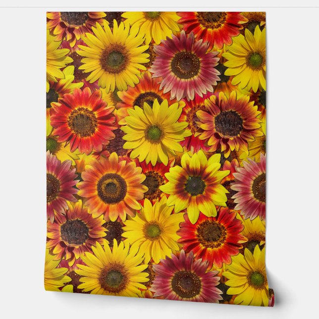 Sonnenblumen Nahtloses Muster Tapete (Abrollen)