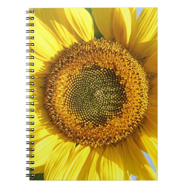 Sonnenblumen-Notebook Notizblock (Vorderseite)