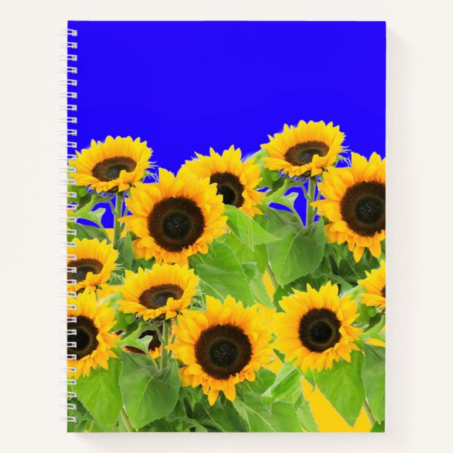 Sonnenblumen Notebook Ukrainische Flaggenfarben Notizbuch (Vorderseite)